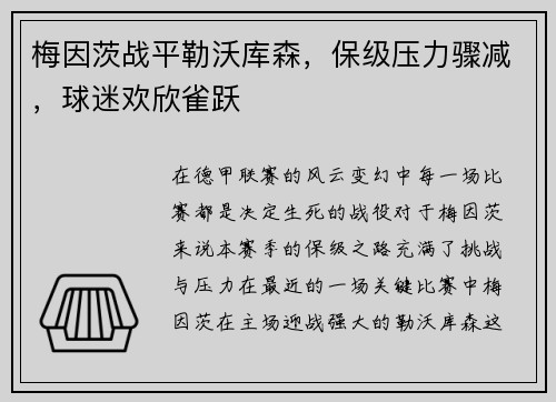 梅因茨战平勒沃库森，保级压力骤减，球迷欢欣雀跃