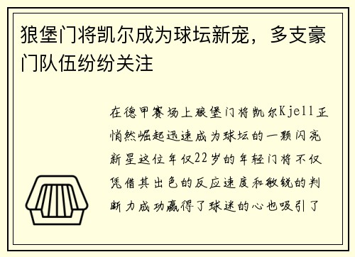 狼堡门将凯尔成为球坛新宠，多支豪门队伍纷纷关注